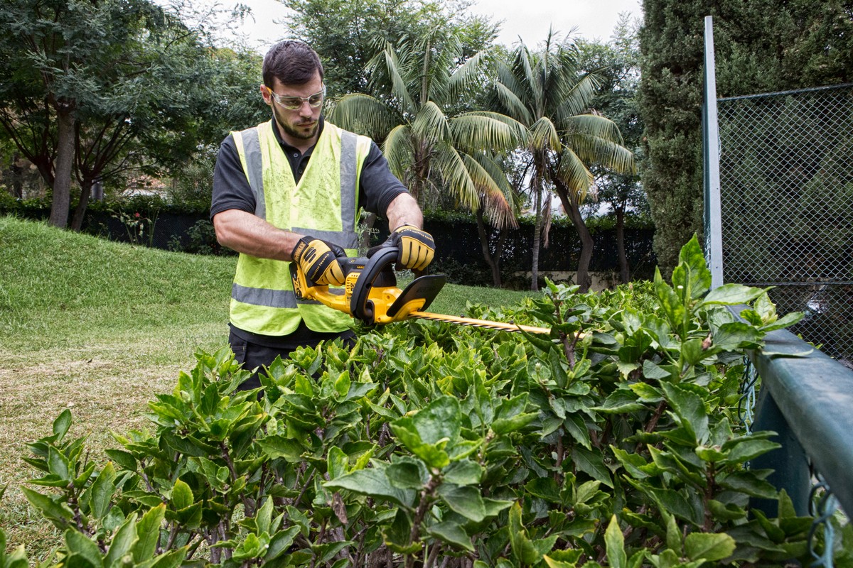 Dewalt Dcm563pb-Xj Hedge Trimmer 18V 55Cm Cordless, Xenoy