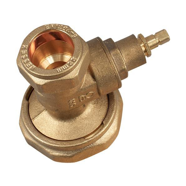 Embrass Peerless Pump Valve Gate Type 22Mm